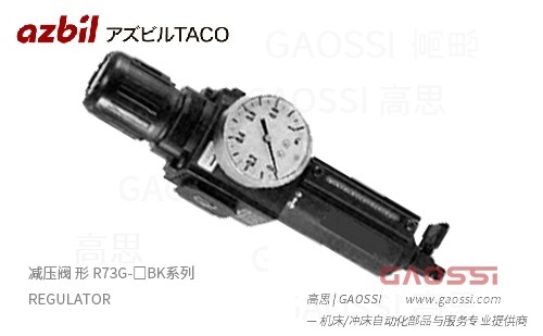 AZBIL TACO 减压阀 形 R73G-□BK系列 GAOSSI