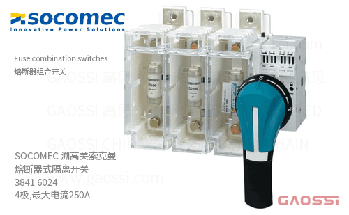 SOCOMEC 溯高美索克曼 熔断器式隔离开关 3841 6024 4极,最大电流250A_