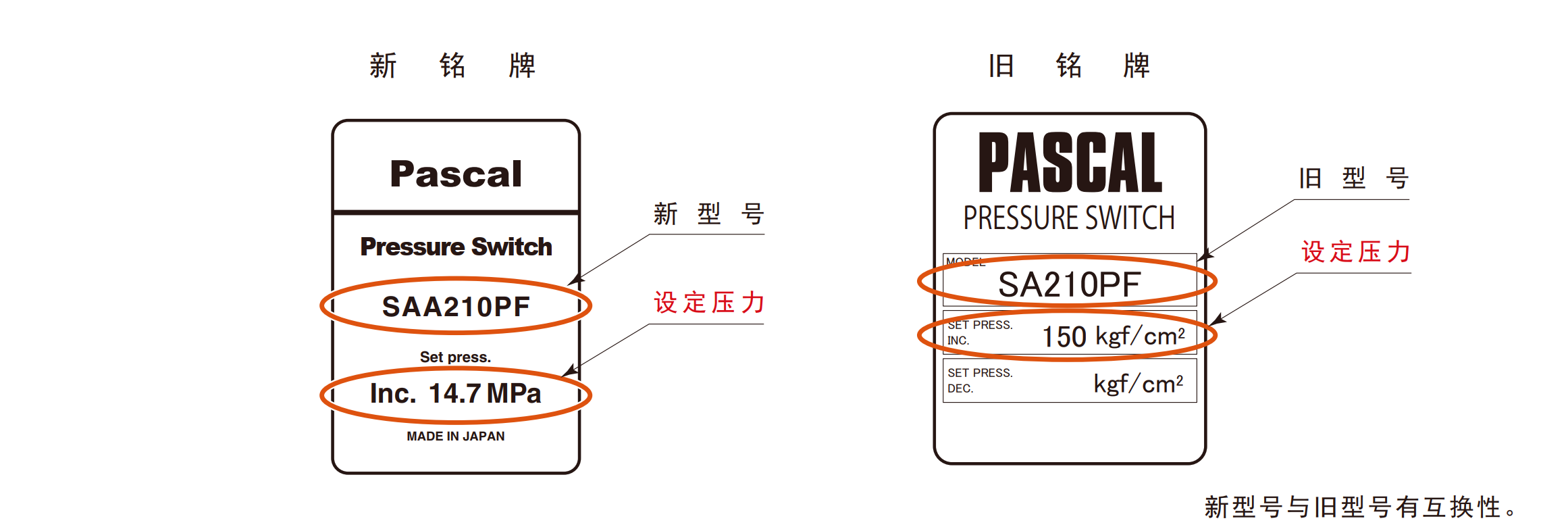 pascal model SAA