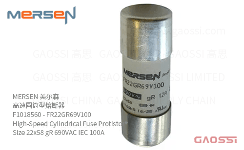 MERSEN 美尔森 高速圆筒型熔断器 F1018560 – FR22GR69V100 High-Speed Cylindrical Fuse Protistor® Size 22×58 gR 690VAC IEC 100A