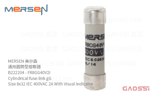 MERSEN 美尔森 通用圆筒型熔断器 B222204 - FR8GG40V2I Cylindrical fuse-link gG Size 8x32 IEC 400VAC 2A With Visual Indicator