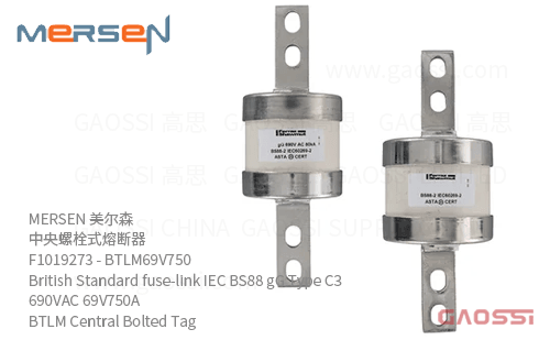 MERSEN 美尔森 中央螺栓式熔断器 F1019273 – BTLM69V750 British Standard fuse-link IEC BS88 gG Type C3 690VAC 69V750A BTLM Central Bolted Tag