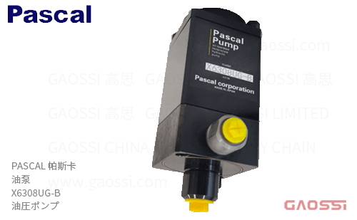 PASCAL 帕斯卡 油泵 X6308UG-B 油圧ポンプ オイルポンプ 油压泵